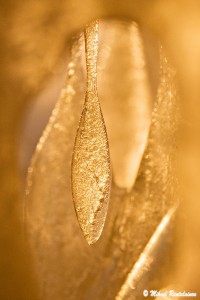 Gilt by the sun, Lauttasaari, Helsinki