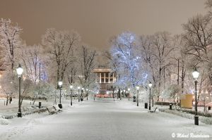 mr100111_img_1794.jpg