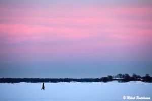 Harakka, Helsinki, Finland