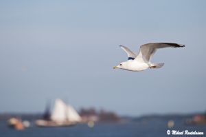 mr100512_img_0164.jpg