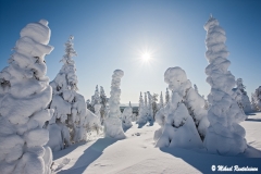 Riisitunturi, Posio, Finland (L132)
