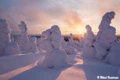 Riisitunturi, Posio, Finland (L229)